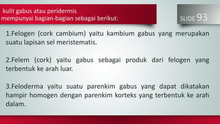 kulit gabus atau peridermis
mempunyai bagian-bagian sebagai berikut: SLIDE 93
1.Felogen (cork cambium) yaitu kambium gabus yang merupakan
suatu lapisan sel meristematis.
2.Felem (cork) yaitu gabus sebagai produk dari felogen yang
terbentuk ke arah luar.
3.Feloderma yaitu suatu parenkim gabus yang dapat dikatakan
hampir homogen dengan parenkim korteks yang terbentuk ke arah
dalam.
 