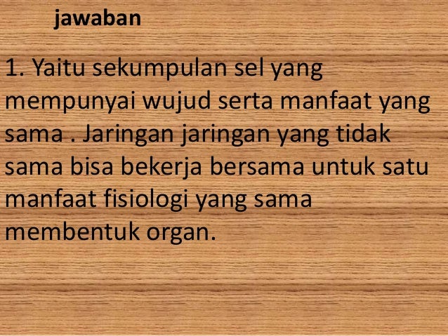 BIOLOGI tentang Jaringannn BIOLOGI tentang Jaringannn