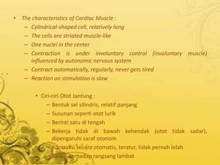 • The characteristics of Cardiac Muscle :
   – Cylindrical-shaped cell, relatively long
   – The cells are striated muscle-like
   – One nuclei in the center
   – Contraction is under involuntary control (involuntary muscle)
     influenced by autonomic nervous system
   – Contract automatically, regularly, never gets tired
   – Reaction on stimulation is slow

       • Ciri-ciri Otot Jantung :
           – Bentuk sel silindris, relatif panjang
           – Susunan seperti otot lurik
           – Berinti satu di tengah
           – Bekerja tidak di bawah kehendak (otot tidak sadar),
              dipengaruhi saraf otonom
           – Kontraksi secara otomatis, teratur, tidak pernah lelah
           – Reaksi terhadap rangsang lambat
 