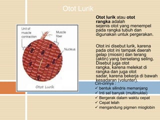 Jaringan Otot | PPTX