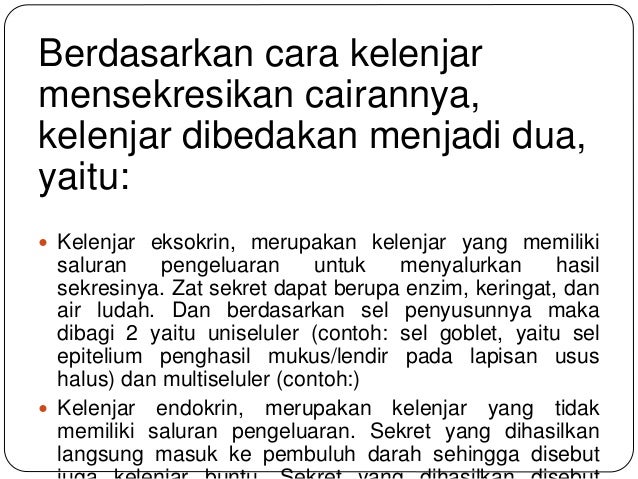 Jaringan Pada Hewan 40213990