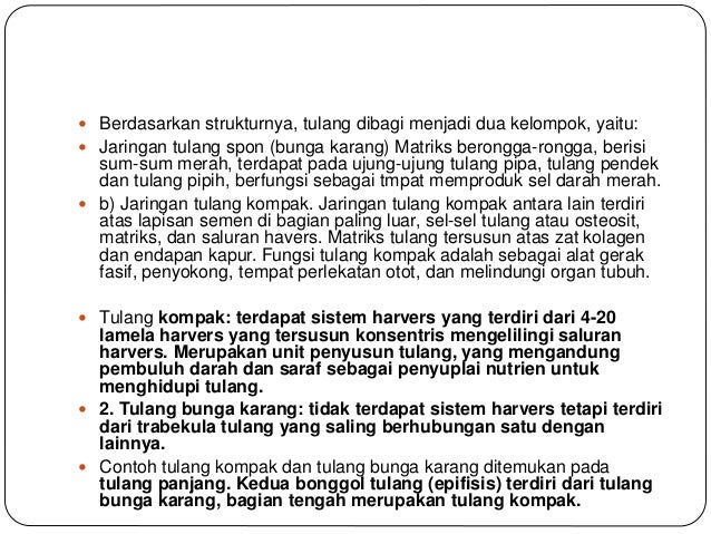 Jaringan pada hewan Jaringan pada hewan