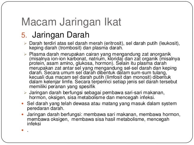  Jaringan  pada hewan 