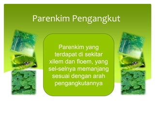 Parenkim Pengangkut
Parenkim yang
terdapat di sekitar
xilem dan floem, yang
sel-selnya memanjang
sesuai dengan arah
pengangkutannya
 