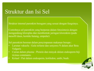 Struktur dan Isi Sel
Struktur internal parenkim beragam yang sesuai dengan fungsinya.
Contohnya sel parenkim yang berperan dalam fotosintesis dengan
mengandung kloroplas dan membentuk jaringan klorenkim (pada
mesofil daun, korteks batang, empulur)
Sel parenkim bereran dalam penyimpanan makanan berupa :
• Larutan vakuola : Gula terlarut dan senyawa N dalam akar Beta
Vulgaris
• Cairan dalam plasma : Protein dan minyak dalam endosperm biji
ricinus communis.
• Kritasl : Pati dalam endosperm, kotiledon, umbi, buah.
 