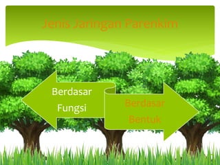 Jenis Jaringan Parenkim
Berdasar
Fungsi Berdasar
Bentuk
 
