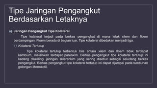 Tipe Jaringan Pengangkut
Berdasarkan Letaknya
a) Jaringan Pengangkut Tipe Kolateral
Tipe kolateral terjadi pada berkas pengangkut di mana letak xilem dan floem
berdampingan. Floem berada di bagian luar. Tipe kolateral dibedakan menjadi tiga.
1) Kolateral Tertutup
Tipe kolateral tertutup terbentuk bila antara xilem dan floem tidak terdapat
kambium, melainkan terdapat parenkim. Berkas pengangkut tipe kolateral tertutup ini
kadang dikelilingi jaringan sklerenkim yang sering disebut sebagai seludang berkas
pengangkut. Berkas pengangkut tipe kolateral tertutup ini dapat dijumpai pada tumbuhan
golongan Monokotil.
 