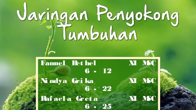 JARINGAN PENYOKONG TUMBUHAN BIOLOGI MISA VLKRN