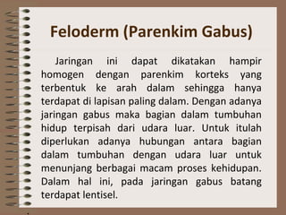 Jaringan ini dapat dikatakan hampir
homogen dengan parenkim korteks yang
terbentuk ke arah dalam sehingga hanya
terdapat di lapisan paling dalam. Dengan adanya
jaringan gabus maka bagian dalam tumbuhan
hidup terpisah dari udara luar. Untuk itulah
diperlukan adanya hubungan antara bagian
dalam tumbuhan dengan udara luar untuk
menunjang berbagai macam proses kehidupan.
Dalam hal ini, pada jaringan gabus batang
terdapat lentisel.
.
Feloderm (Parenkim Gabus)
 