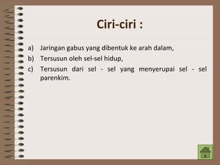 a) Jaringan gabus yang dibentuk ke arah dalam,
b) Tersusun oleh sel-sel hidup,
c) Tersusun dari sel - sel yang menyerupai sel - sel
parenkim.
Ciri-ciri :
 