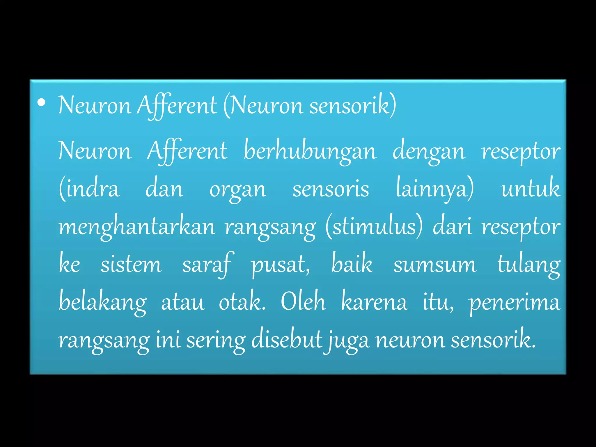 • Neuron Afferent (Neuron sensorik)
Neuron Afferent berhubungan dengan reseptor
(indra dan organ sensoris lainnya) untuk
menghantarkan rangsang (stimulus) dari reseptor
ke sistem saraf pusat, baik sumsum tulang
belakang atau otak. Oleh karena itu, penerima
rangsang ini sering disebut juga neuron sensorik.
 