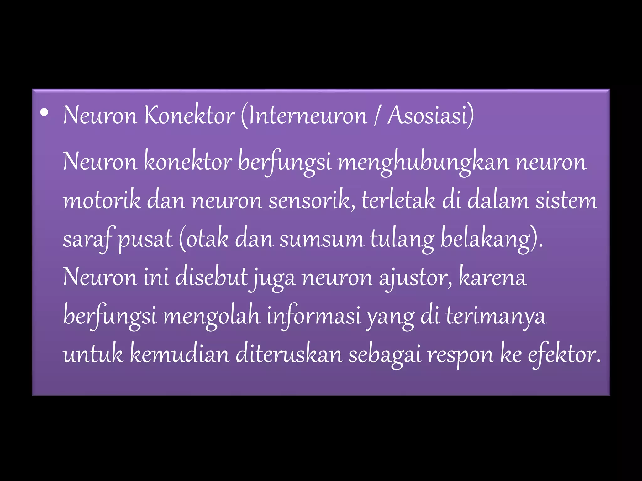 • Neuron Konektor (Interneuron / Asosiasi)
Neuron konektor berfungsi menghubungkan neuron
motorik dan neuron sensorik, terletak di dalam sistem
saraf pusat (otak dan sumsum tulang belakang).
Neuron ini disebut juga neuron ajustor, karena
berfungsi mengolah informasi yang di terimanya
untuk kemudian diteruskan sebagai respon ke efektor.
 
