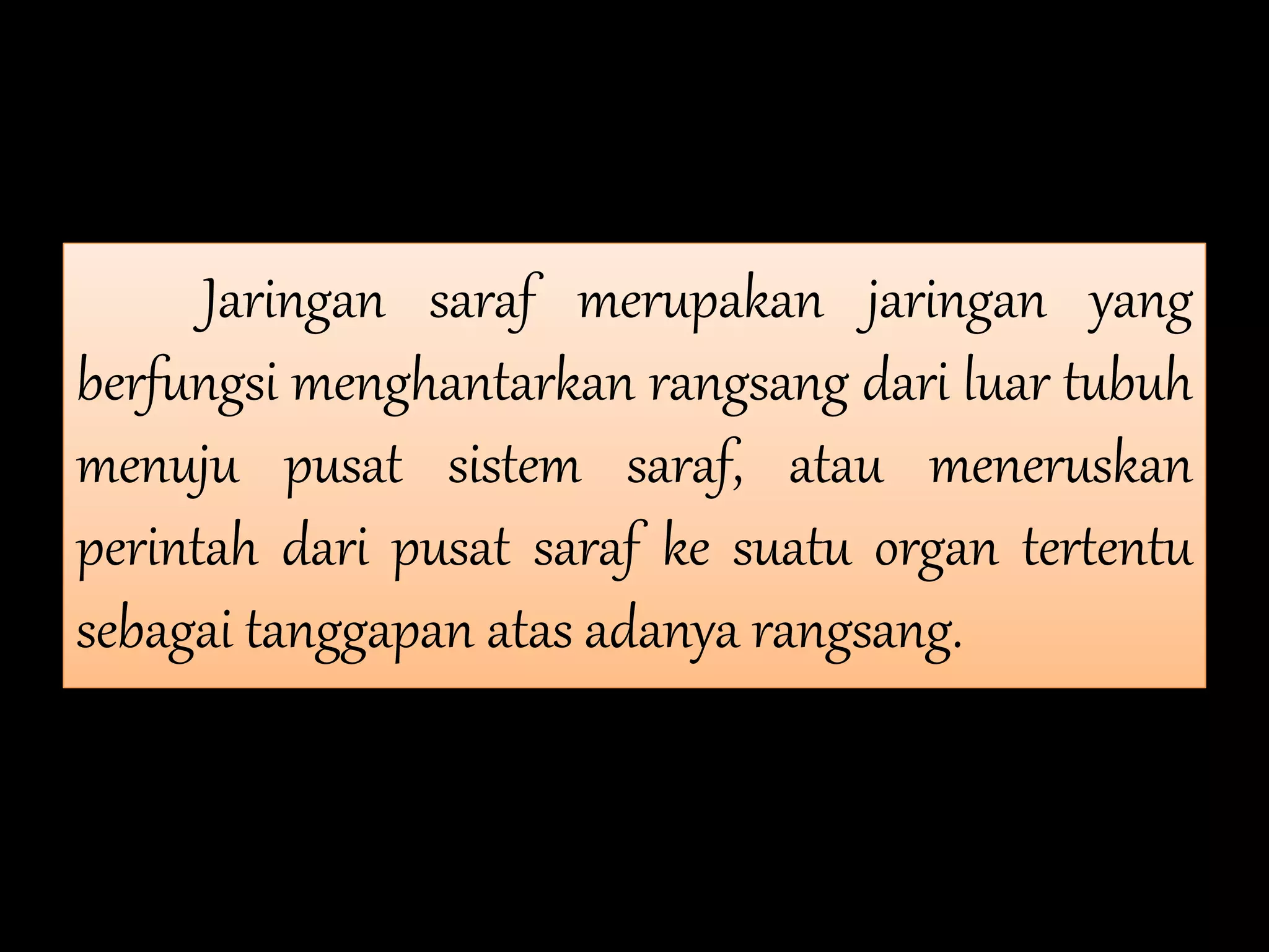 Jaringan saraf merupakan jaringan yang
berfungsi menghantarkan rangsang dari luar tubuh
menuju pusat sistem saraf, atau meneruskan
perintah dari pusat saraf ke suatu organ tertentu
sebagai tanggapan atas adanya rangsang.
 