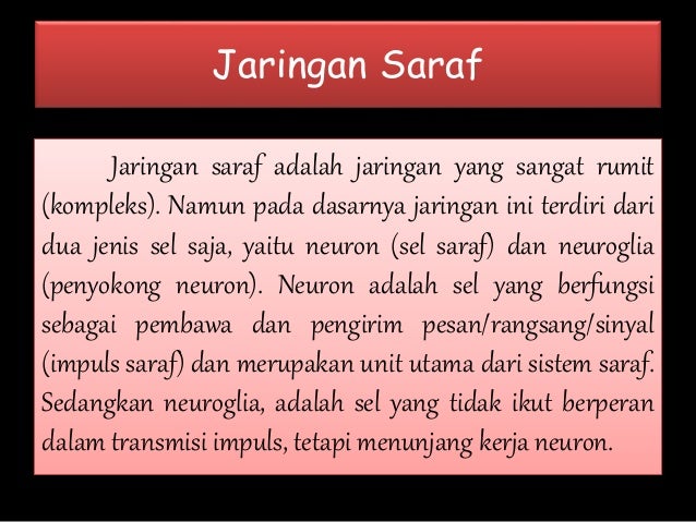 BIOLOGI JARINGAN  SARAF