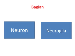Bagian
NeurogliaNeuron
 