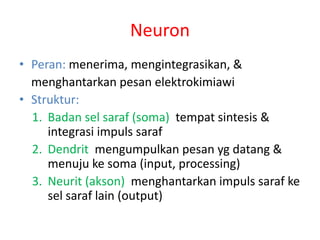 Neuron
• Peran: menerima, mengintegrasikan, &
menghantarkan pesan elektrokimiawi
• Struktur:
1. Badan sel saraf (soma) tempat sintesis &
integrasi impuls saraf
2. Dendrit mengumpulkan pesan yg datang &
menuju ke soma (input, processing)
3. Neurit (akson) menghantarkan impuls saraf ke
sel saraf lain (output)
 