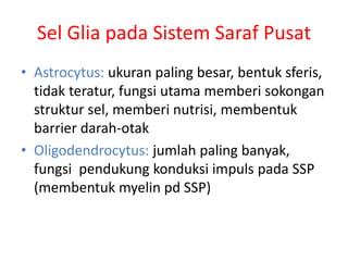 Sel Glia pada Sistem Saraf Pusat
• Astrocytus: ukuran paling besar, bentuk sferis,
tidak teratur, fungsi utama memberi sokongan
struktur sel, memberi nutrisi, membentuk
barrier darah-otak
• Oligodendrocytus: jumlah paling banyak,
fungsi pendukung konduksi impuls pada SSP
(membentuk myelin pd SSP)
 