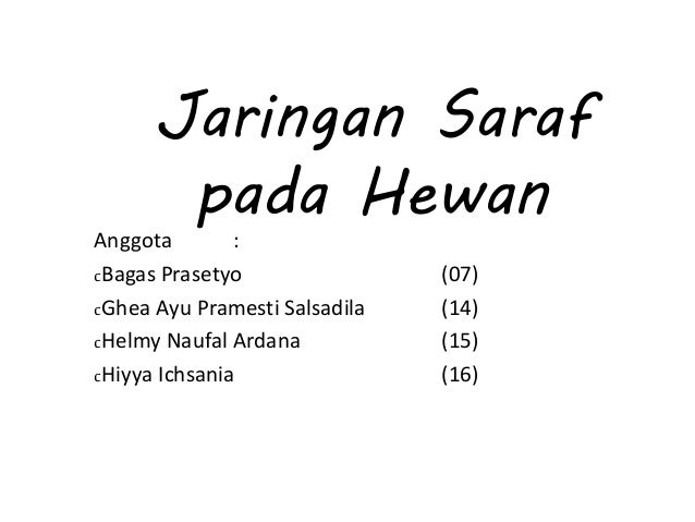 Jaringan Saraf Pada Hewan
