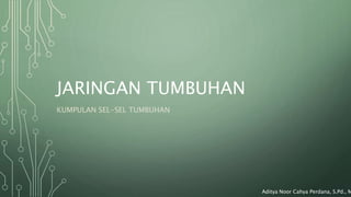 Aditya Noor Cahya Perdana, S.Pd., M
JARINGAN TUMBUHAN
KUMPULAN SEL-SEL TUMBUHAN
 