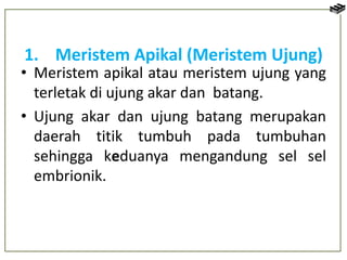 jaringan tumbuhan.pptx