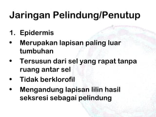 Jaringan Pelindung/Penutup
1. Epidermis
• Merupakan lapisan paling luar
tumbuhan
• Tersusun dari sel yang rapat tanpa
ruang antar sel
• Tidak berklorofil
• Mengandung lapisan lilin hasil
seksresi sebagai pelindung
 