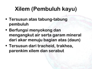 Xilem (Pembuluh kayu)
• Tersusun atas tabung-tabung
pembuluh
• Berfungsi menyokong dan
mengangkut air serta garam mineral
dari akar menuju bagian atas (daun)
• Tersusun dari tracheid, trakhea,
parenkim xilem dan serabut
 
