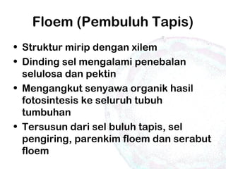 Floem (Pembuluh Tapis)
• Struktur mirip dengan xilem
• Dinding sel mengalami penebalan
selulosa dan pektin
• Mengangkut senyawa organik hasil
fotosintesis ke seluruh tubuh
tumbuhan
• Tersusun dari sel buluh tapis, sel
pengiring, parenkim floem dan serabut
floem
 