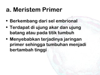a. Meristem Primer
• Berkembang dari sel embrional
• Terdapat di ujung akar dan ujung
batang atau pada titik tumbuh
• Menyebabkan terjadinya jaringan
primer sehingga tumbuhan menjadi
bertambah tinggi
 