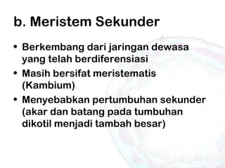 b. Meristem Sekunder
• Berkembang dari jaringan dewasa
yang telah berdiferensiasi
• Masih bersifat meristematis
(Kambium)
• Menyebabkan pertumbuhan sekunder
(akar dan batang pada tumbuhan
dikotil menjadi tambah besar)
 