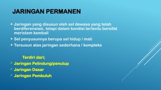 JARINGAN PERMANEN
 Jaringan yang disusun oleh sel dewasa yang telah
berdiferensiasi, tetapi dalam kondisi tertentu bersifat
meristem kembali
 Sel penyusunnya berupa sel hidup / mati
 Tersusun atas jaringan sederhana / kompleks
Terdiri dari;
 Jaringan Pelindung/penutup
 Jaringan Dasar
 Jaringan Pembuluh
 