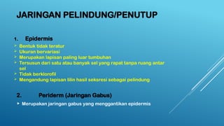 JARINGAN PELINDUNG/PENUTUP
1. Epidermis
 Bentuk tidak teratur
 Ukuran bervariasi
 Merupakan lapisan paling luar tumbuhan
 Tersusun dari satu atau banyak sel yang rapat tanpa ruang antar
sel
 Tidak berklorofil
 Mengandung lapisan lilin hasil seksresi sebagai pelindung
2. Periderm (Jaringan Gabus)
 Merupakan jaringan gabus yang menggantikan epidermis
 
