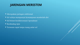 JARINGAN MERISTEM
 Merupakan jaringan embrional
 Sel-selnya mempunyai kemampuan membelah diri
 Sel belum berdiferensiasi/spesialisasi
 Berdinding tipis
 Tersusun rapat tanpa ruang antar sel
 