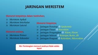 JARINGAN MERISTEM
Menurut tempatnya dalam tumbuhan;
1) Meristem Apikal
2) Meristem Interkalar
3) Meristem Lateral
Menurut asalnya;
4) Meristem Primer
5) Meristem Sekunder
Nb: Pembagian menurut asalnya tidak selalu
tepat
Menurut fungsinya;
1) Jaringan Penutup  Epidermis
2) Jaringan Dasar  Parenkim
3) Jaringan Pengangkut  Xilem, Floem
4) Jaringan Sekresi  Kelenjar, Resin, dll
5) Jaringan Penguat  Kolenkim, Sklerenkim
 