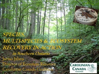 SPECIES,
MULTI-SPECIES & ECOSYSTEM
RECOVERY IN ACTION
     in Southern Ontario
Jarmo Jalava
Director of Ecosytem Recovery
Carolinian Canada Coalition
 