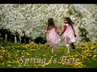 Jaro je tady - Spring is here (Judith) 3