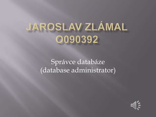 Správce databáze
(database administrator)
 