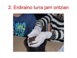 2. Erdiraino lurra jarri ontzian
 