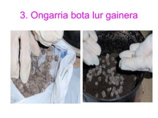 3. Ongarria bota lur gainera
 