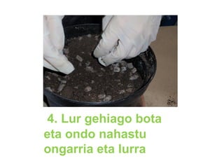 4. Lur gehiago bota
eta ondo nahastu
ongarria eta lurra
 