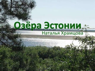 Озёра Эстонии
     Наталья Храмцова
 