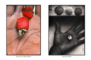 Souvenir of a Beloved Place

Hand with Shell

 