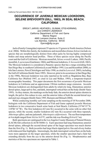 188                                   CALIFORNIA FISH AND GAME

California Fish and Game 95(4): 188-192; 2009

       OCCURRENCE OF JUVENILE MEXICAN LOOKDOWN,
       SELENE BREVOORTII (GILL, 1863), IN SEAL BEACH,
                      CALIFORNIA

                   ERICA T. JARVIS, HEATHER L. GLINIAK, OTIS HORNING,
                                  and CHRISTI LINARDICH
                          California Department of Fish and Game
                                       Marine Region
                               4665 Lampson Avenue, Suite C
                               Los Alamitos, California 90720
                                     Ejarvis@dfg.ca.gov

      Jacks (Family Carangidae) represent 55 species in 15 genera in North America (Nelson
et al. 2004). Within this family, the lookdowns and moonfishes (Genus Selene) include six
species that are morphologically distinct from other jacks by having highly compressed
bodies and steep anterior head profiles. Three of these species occur along the Pacific
coast and the Gulf of California: Mexican moonfish, Selene orstedii Lutken, 1880; Pacific
moonfish, S. peruviana (Guichenot, 1866); and Mexican lookdown, S. brevoortii (Gill, 1863).
The Mexican lookdown is considered a Panamic species that has a range extending from
San Diego Bay in southern California (Lea and Walker 1995, Lea and Rosenblatt 2000), to
Isla San Lorenzo, Peru (Chirichigno and Velez 1998, as cited in Love et al. 2005), including
the Gulf of California (Smith-Vaniz 1995). However, prior to its occurrence in San Diego Bay
in the 1990s, Mexican lookdown was only reported as far north as Magdalena Bay, Baja
California Sur (Walford 1947, as cited in Lea and Walker, 1995), a temperate-tropical
oceanographic boundary. This paper documents the first occurrence of juvenile Mexican
lookdown in California and an approximate 150-km northern range extension. Juvenile
Mexican lookdown are distinguished from adults by relatively long, filamentous anterior
dorsal spines, larger pelvic fins, and dark, interrupted vertical bars on the body (Smith-Vaniz
1995). As they mature, the markings on the body fade, the anterior dorsal spines shorten in
length, the pelvic fins reduce in size, and the anterior lobes of both the second dorsal rays
and anal rays elongate (Smith-Vaniz 1995, Humann and Deloach 2004).
      While conducting monthly surf zone sampling on the morning of 18 November 2008,
biologists with the California Department of Fish and Game captured juvenile Mexican
lookdown in two consecutive beach seine hauls at Seal Beach, California (33º44’15’’N,
118º06’16’’W). The first lookdown (63 mm SL) occurred in the seine with no other fish
species, while the second, smaller lookdown (62 mm SL) occurred with three topsmelt,
Atherinops affinis, and one jacksmelt, Atherinopsis californiensis. The sea floor temperature
at 4 m depth ranged from 16.6 to 16.9 ºC, and the tide was flooding (0.6 to 0.7 m).
      Both specimens are catalogued in the Los Angeles County Museum of Natural History
(LACM) fish collection (LACM 56886-1). Each specimen had long filamentous anterior
dorsal spines, although the second dorsal spine of the larger specimen was much shorter
than the first (Fig. 1). Both juveniles had large black-tipped pelvic fins and silvery bodies
with iridescent blue highlights. Interestingly, the dark interrupted vertical bars on the body
were more apparent on the larger specimen, while the smaller specimen had a faint bar
extending dorsally from the eye to the anterior dorsal fin (Fig. 1). Morphometrics and
meristics of the two specimens are reported in Table 1.
 
