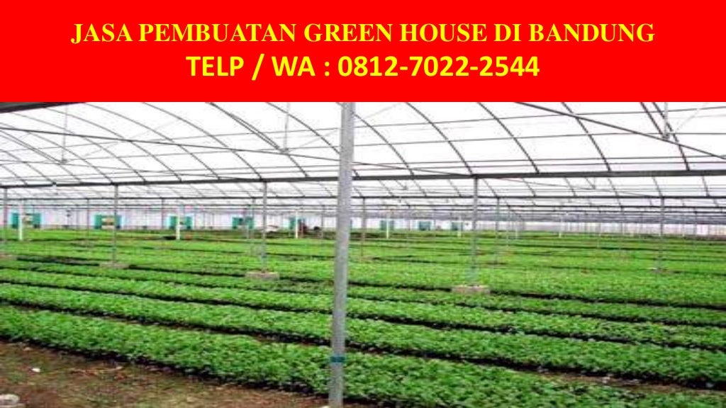 081270222544 Konstruksi Green House Hidroponik