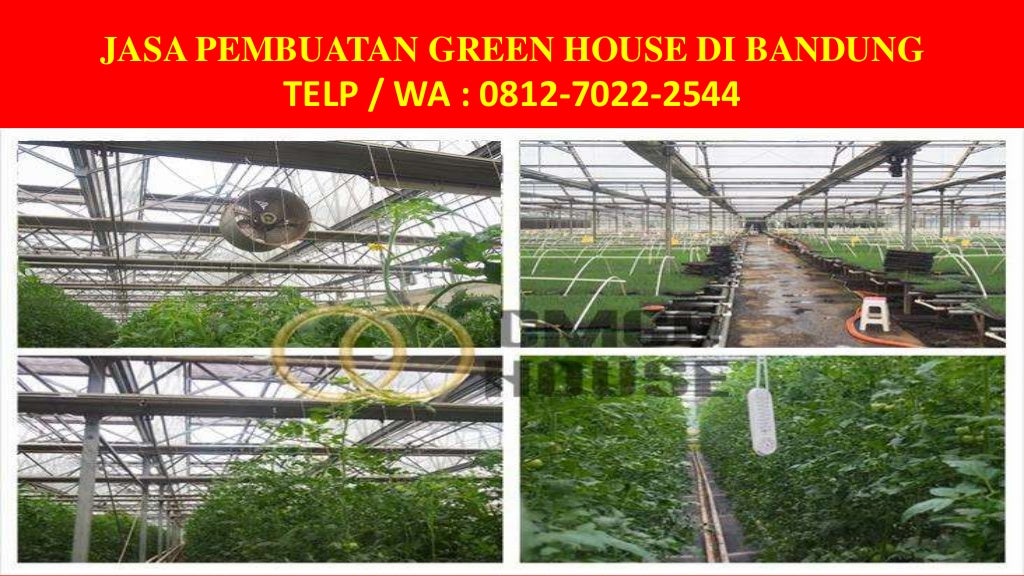 081270222544 Konstruksi Green House Hidroponik