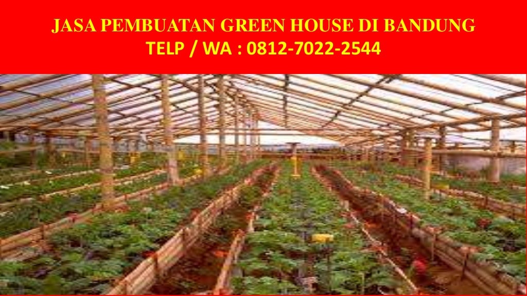 081270222544 Konstruksi Green House Hidroponik