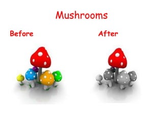Mushrooms
Before          After
 