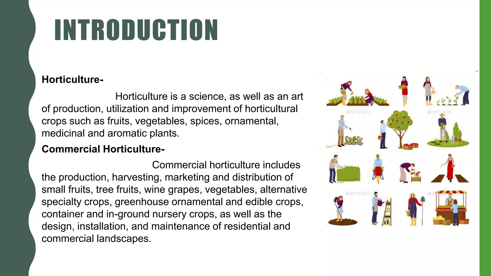 commercial horticulture | PPTX
