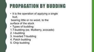 PROPAGATION BY BUDDING
• It is the operation of applying a single
bud,
bearing little or no wood, to the
surface of the stock
• Types of budding:
1.T-budding (ex. Mulberry, avocado)
2. I-budding
3. Inverted T-budding
4. Patch budding
5. Chip budding
 