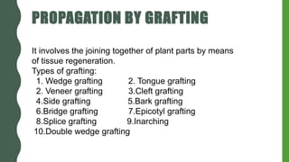 PROPAGATION BY GRAFTING
It involves the joining together of plant parts by means
of tissue regeneration.
Types of grafting:
1. Wedge grafting 2. Tongue grafting
2. Veneer grafting 3.Cleft grafting
4.Side grafting 5.Bark grafting
6.Bridge grafting 7.Epicotyl grafting
8.Splice grafting 9.Inarching
10.Double wedge grafting
 