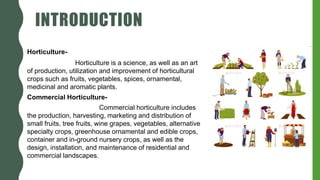 INTRODUCTION
Horticulture-
Horticulture is a science, as well as an art
of production, utilization and improvement of horticultural
crops such as fruits, vegetables, spices, ornamental,
medicinal and aromatic plants.
Commercial Horticulture-
Commercial horticulture includes
the production, harvesting, marketing and distribution of
small fruits, tree fruits, wine grapes, vegetables, alternative
specialty crops, greenhouse ornamental and edible crops,
container and in-ground nursery crops, as well as the
design, installation, and maintenance of residential and
commercial landscapes.
 
